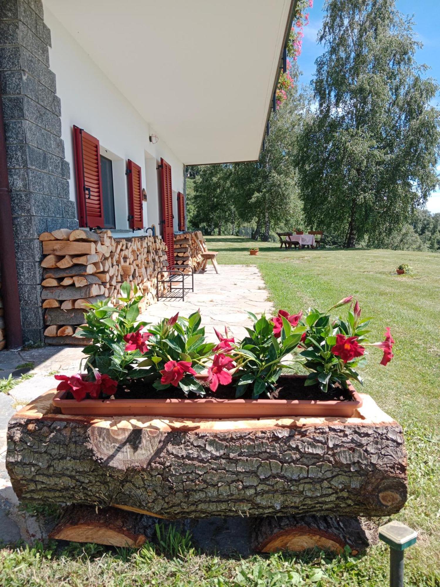 Mael Lodge